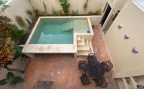 Casa Del Artista